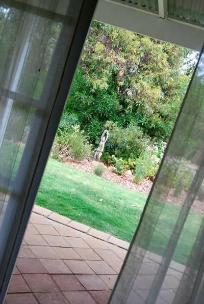 Llewellin'S Guest House Margaret River Exterior photo